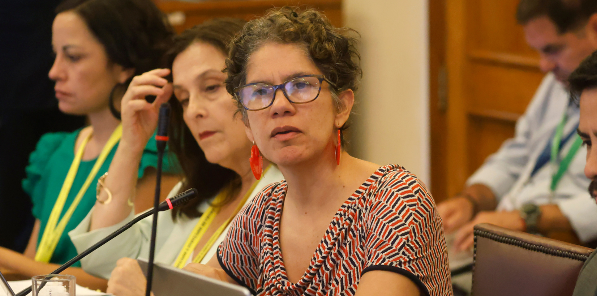 Dominga: Gobierno valora que Corte anulara fallo de Tribunal Ambiental contra Comité