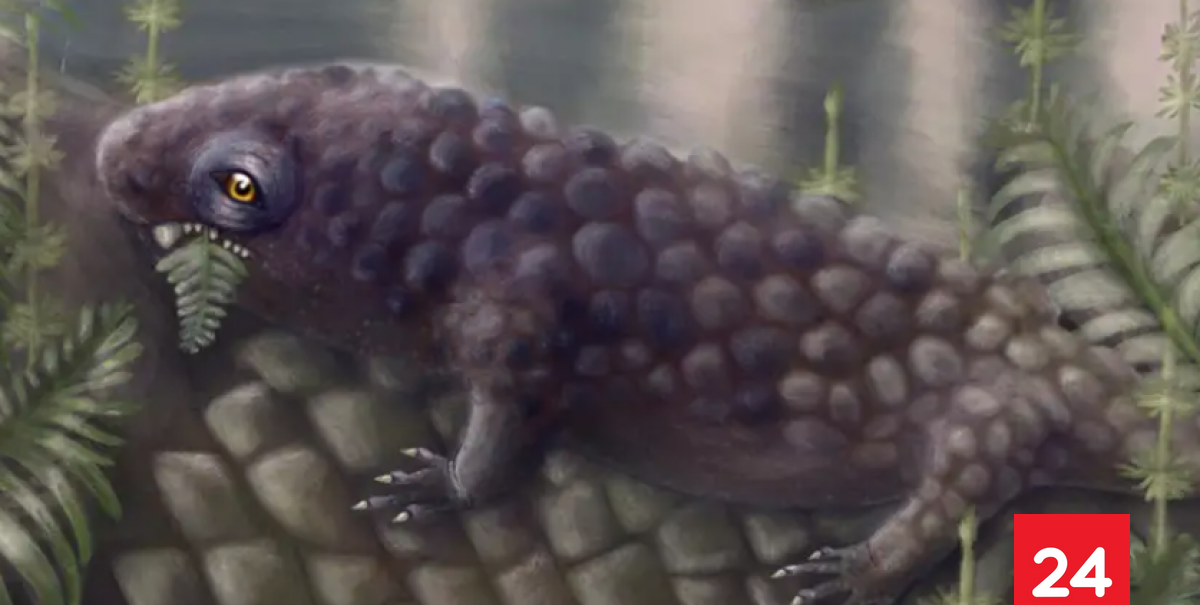 Estudio científico revela el herbívoro más antiguo jamás descubierto