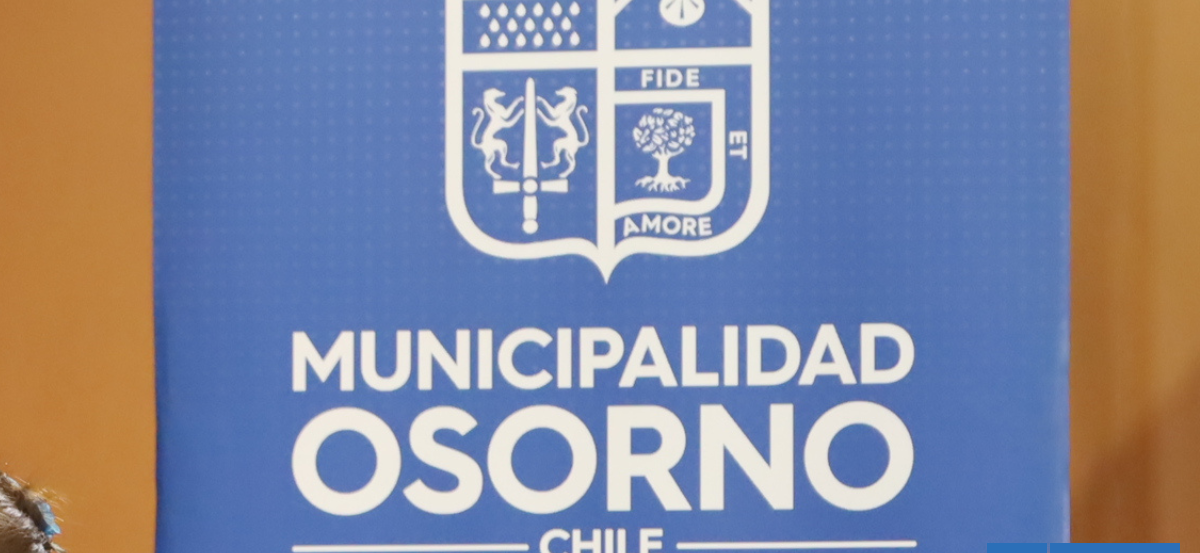 Piden a Municipalidad de Osorno plan de contingencia tras seguidilla de robos en Barrio Lynch