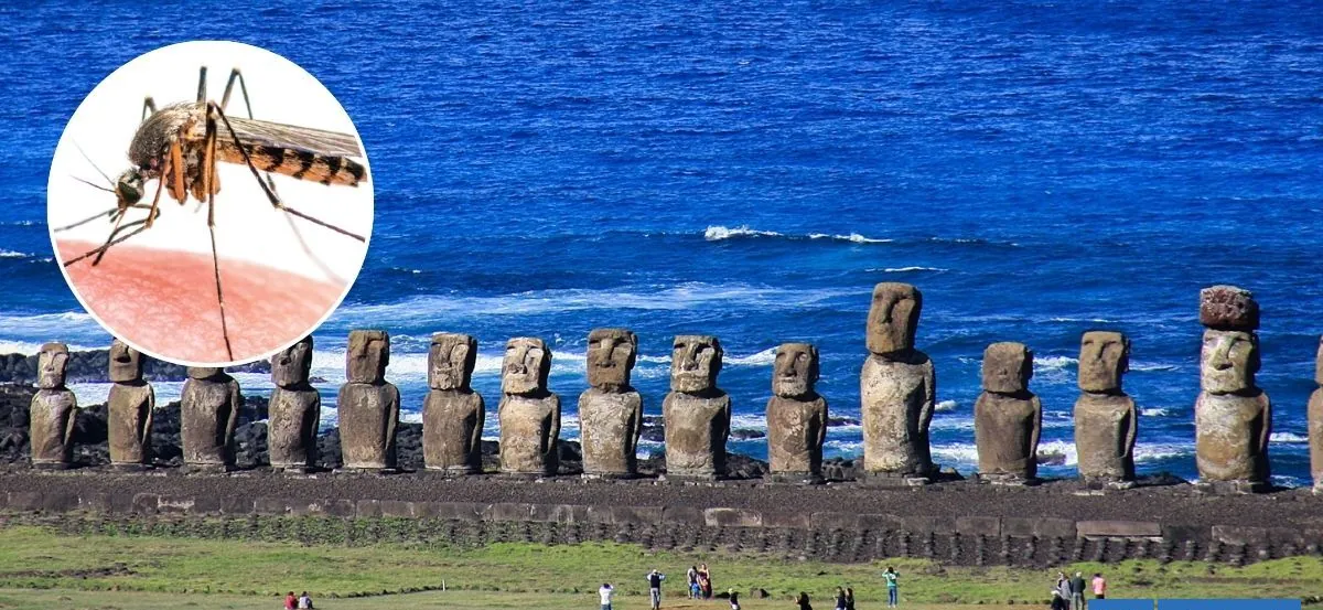 Suben a 16 los casos de dengue en Rapa Nui: no hay personas hospitalizadas