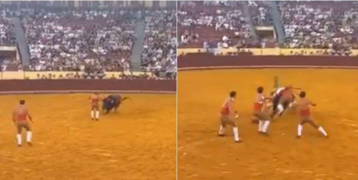 Imágenes sensibles: joven forcado muere tras ser embestido por toro en Portugal