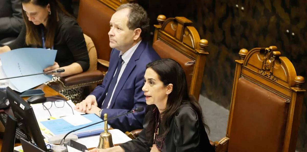 Gritos y desalojo: Senado suspende discusión de Sala Cuna Universal tras incidentes en las tribunas