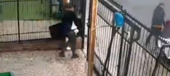 Video | En menos de 3 minutos: El momento en que roban un tv y otros artículos de casa de meteorólogo Jaime Leyton