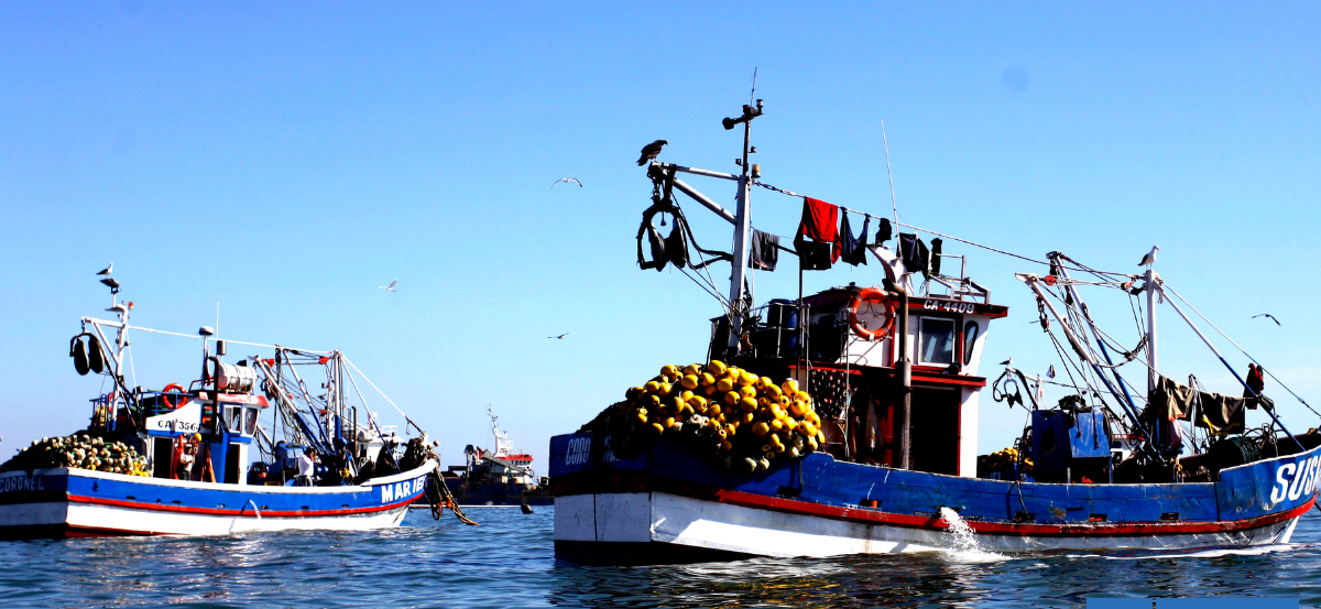 Pescadores Industriales se querellan por piratería tras intento de robo de jurel en bahía de Coronel
