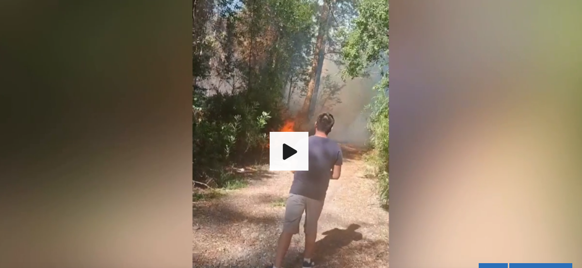 "Hay más protección a quien causó daño": Familia critica a Fiscalía por incendio forestal en Los Ríos