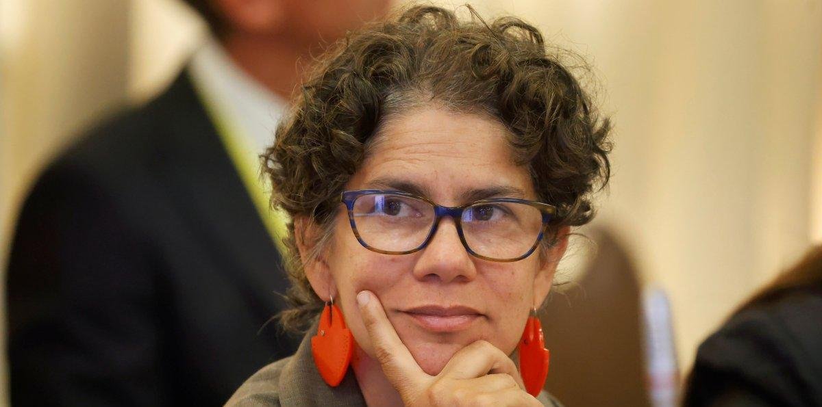 Ministra Rojas: Compatibilizar inversión y protección es necesario y posible