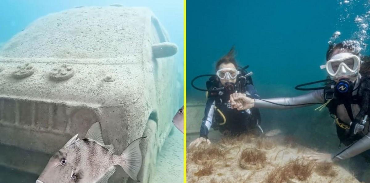 Aparecen autos sumergidos en Miami Beach: Esta es la explicación de la particular intervención