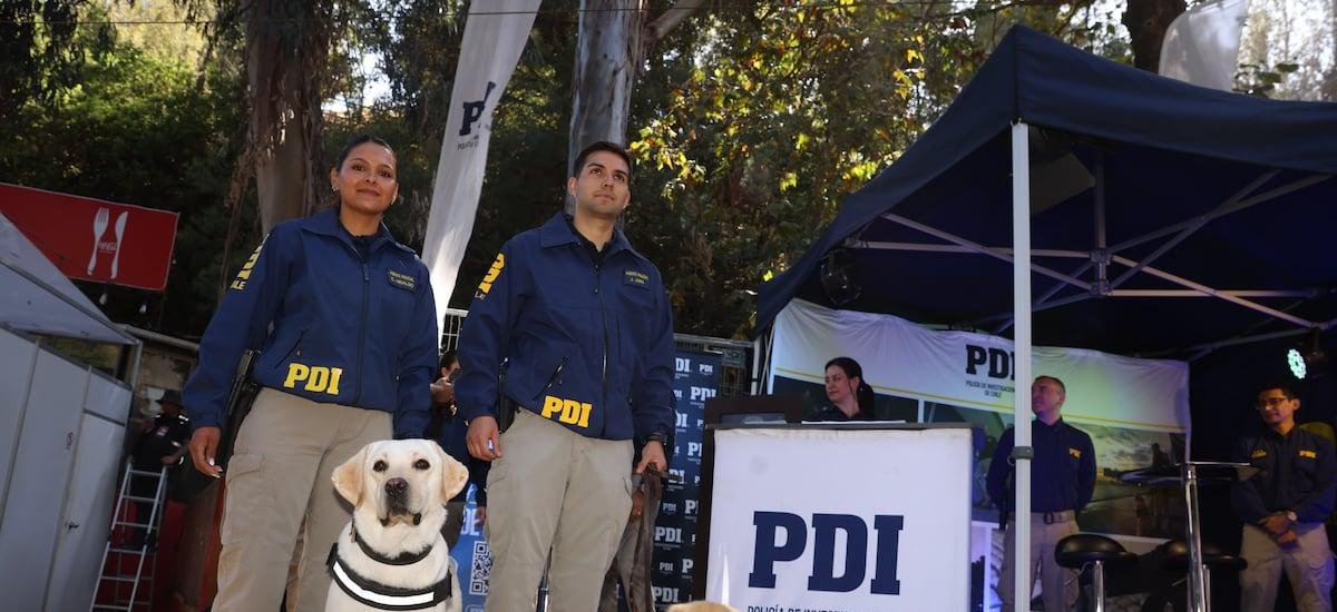Con foco en microtráfico y crimen organizado: PDI refuerza servicios policiales en el marco del Festival de Viña 2026