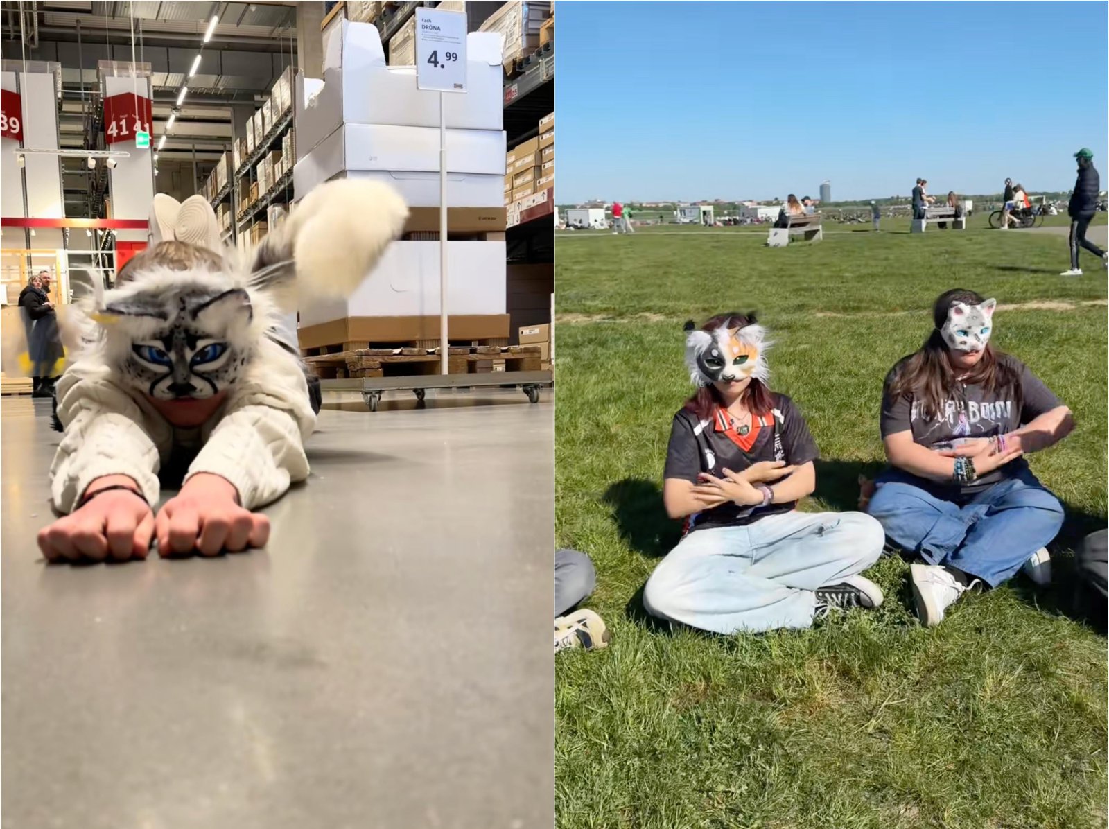 Los Therians chilenos rompen el silencio: “No estamos locos”, “no comemos comida de perro” y “tomamos agua desde el suelo”