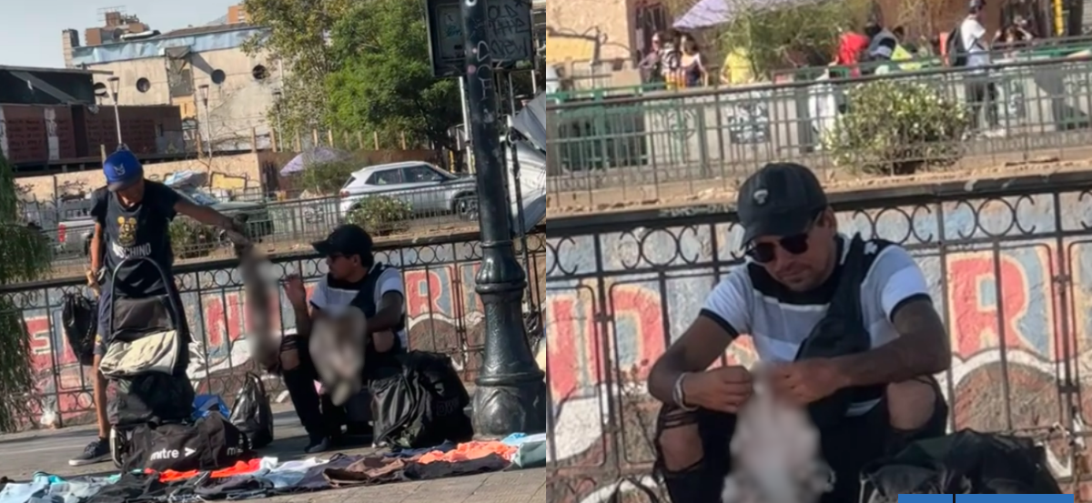 Difunden video de presunta venta de piel de gato en cercanías del Metro Puente Cal y Canto