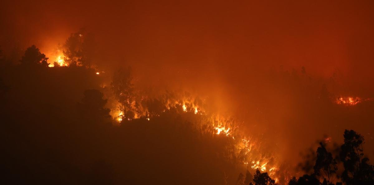 Riesgo de incendios en Chile se triplica: Análisis apunta a cambio climático y el suelo