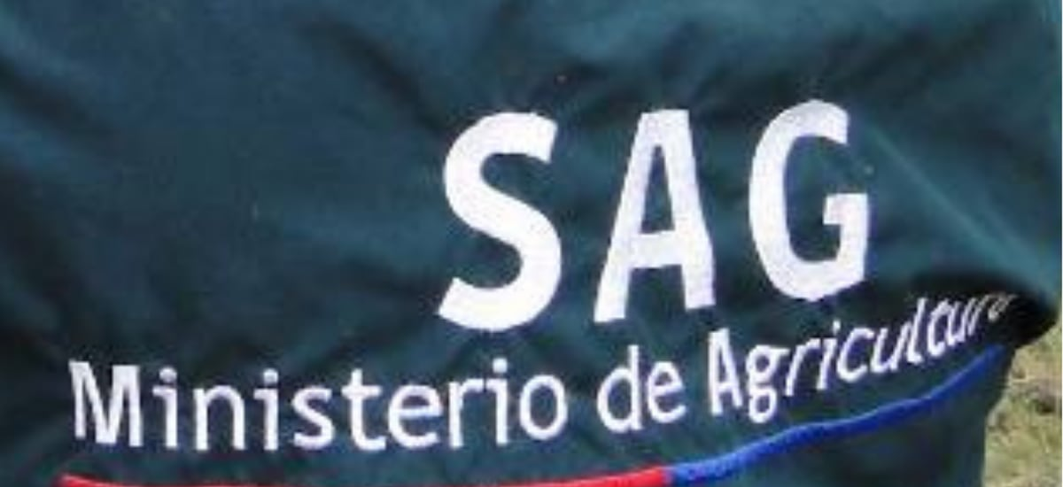 SAG deberá justificar ante Contraloría el alto sueldo que fue pagado a una periodista