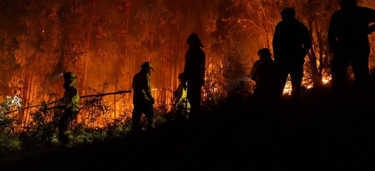 Biobío, Ñuble y La Araucanía suman más del 75% de las hectáreas quemadas por los incendios forestales en 2025-2026