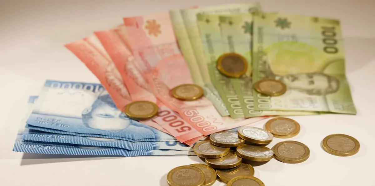 ¿Tienes PGU sin cobrar? Revisa con tu RUT si te corresponde el pago de hasta $250.000 y cómo solicitarla