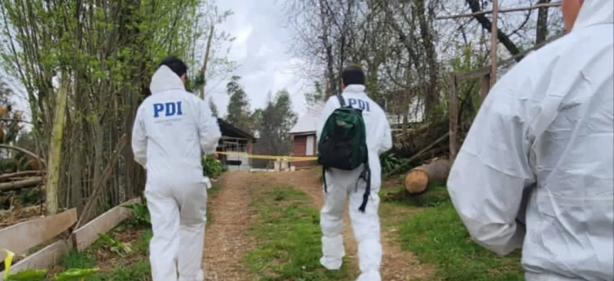 Perros le comieron el brazo derecho: horrorosa escena tras muerte de adulto mayor vuelve a remecer a Pitrufquén