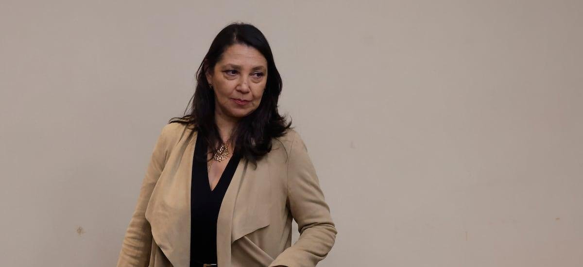 Ministra Lobos reconoce que el gobierno pudo “hacer una comunicación más efectiva” tras la polémica por el proyecto chino - La Tercera
