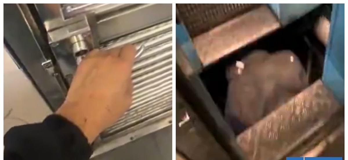 Viralizan peligroso actuar en el Metro: usuario de Tiktok se grabó abriendo puertas en pleno tránsito