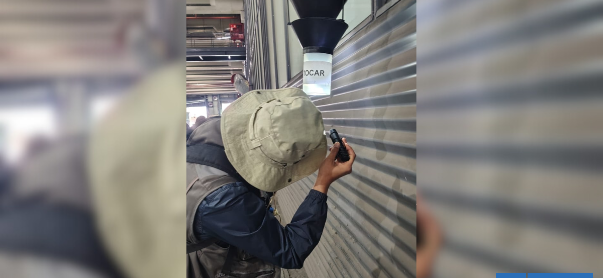 Paso Los Libertadores cerrará al mediodía este jueves tras hallazgo de zancudo que portaría el dengue