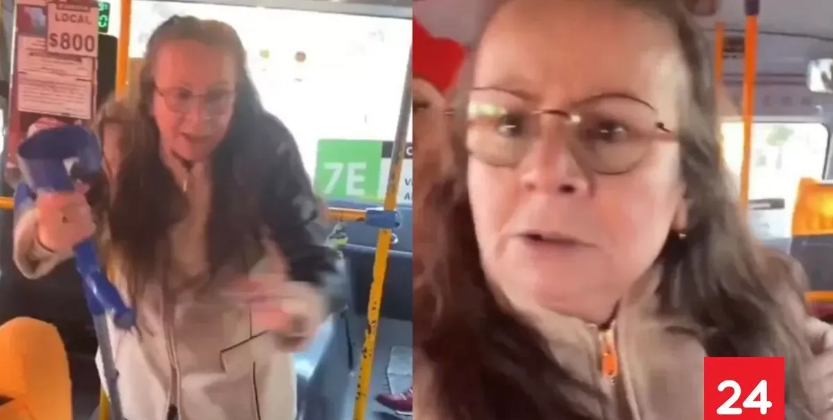 Junaeb condena agresión contra estudiante embarazada por uso de TNE en Puerto Montt
