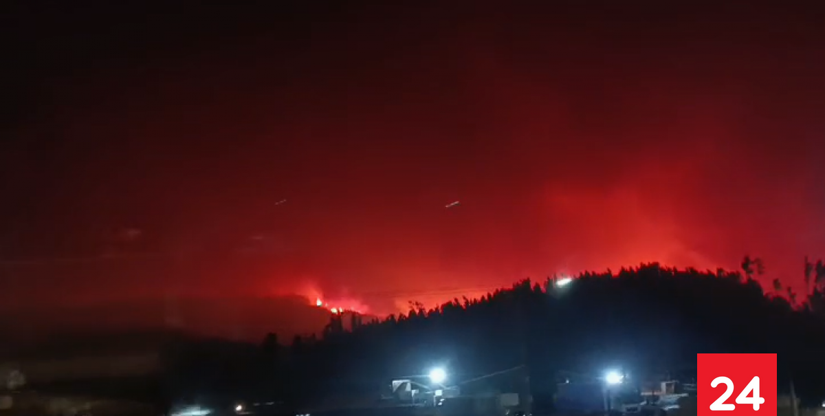 Autoridades realizan balance de dos incendios forestales en el Biobío: "El combate va a ser extremadamente difícil"