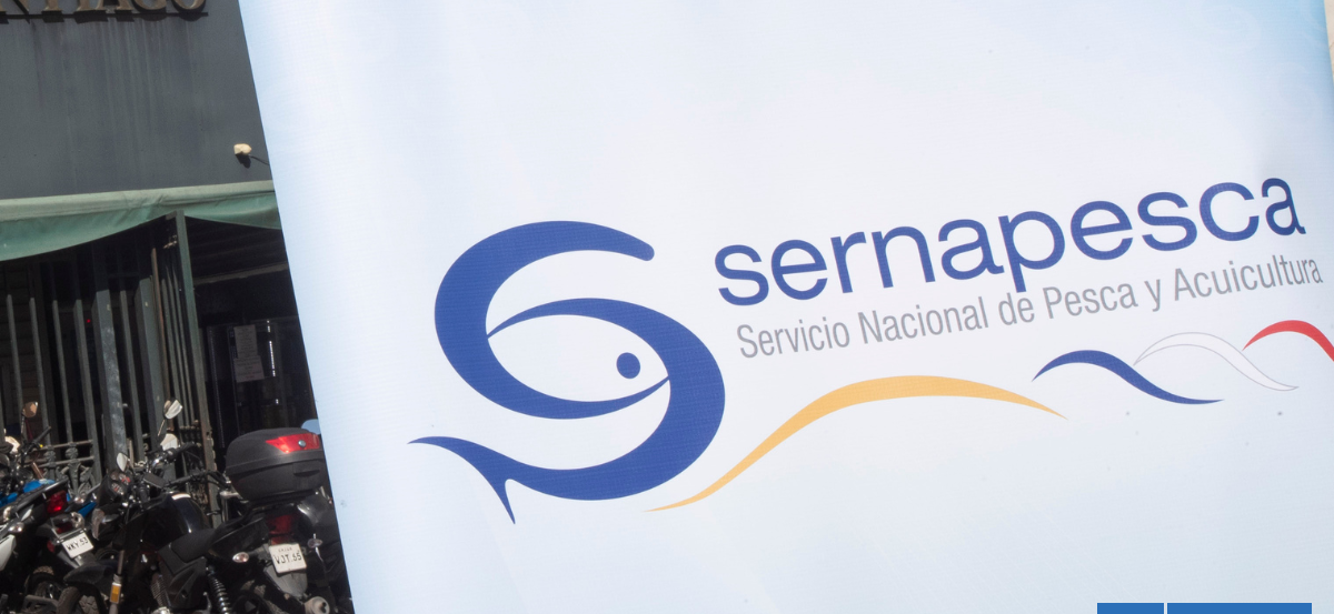 Trabajador demanda a jefaturas de Sernapesca por acoso: denuncia vigilancia fuera del horario laboral