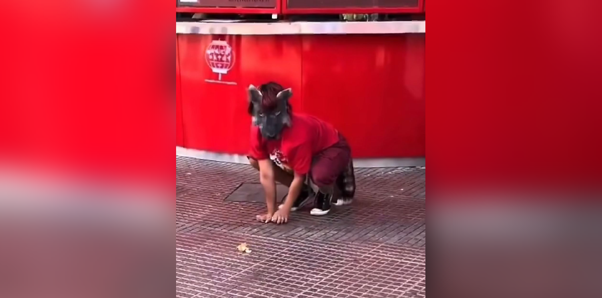 "Therian", la nueva tendencia juvenil que causa furor y estupor en Chile y el mundo