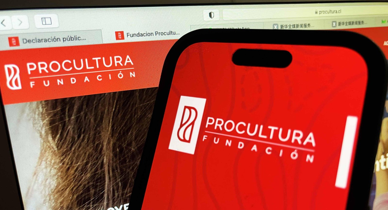 Denuncian a exfiscal Ríos por presuntamente haber manipulado el celular de un imputado durante diligencias del Caso ProCultura