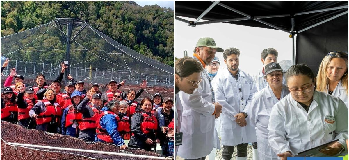 "Gratamente sorprendida": programa abierto Turismo Salmonero da a conocer evolución de la industria