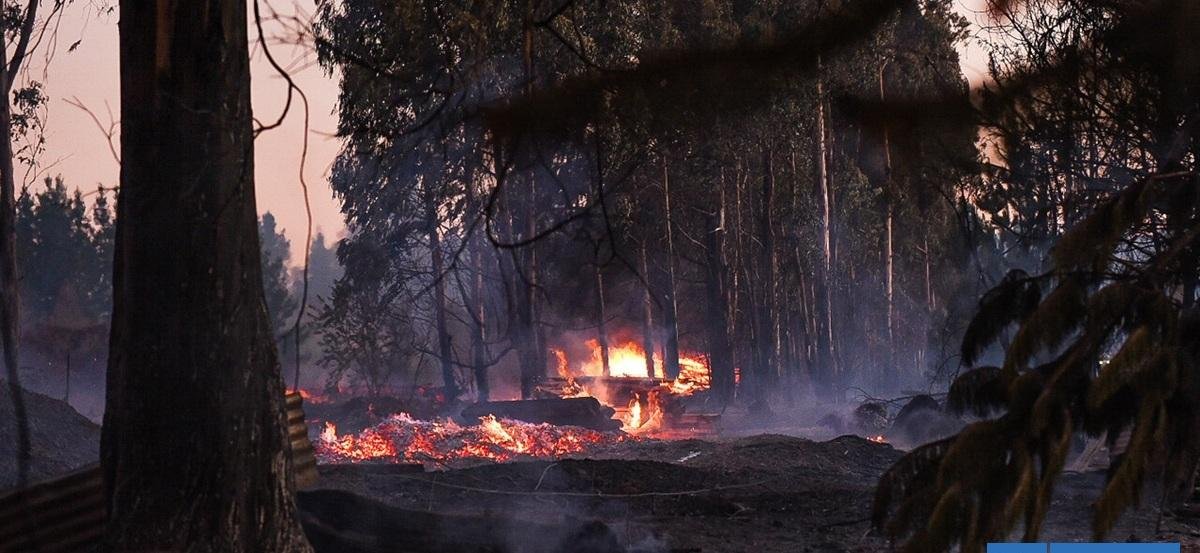 La Araucanía: Gobierno pide a agricultores respetar Faena Cero para evitar incendios por negligencias