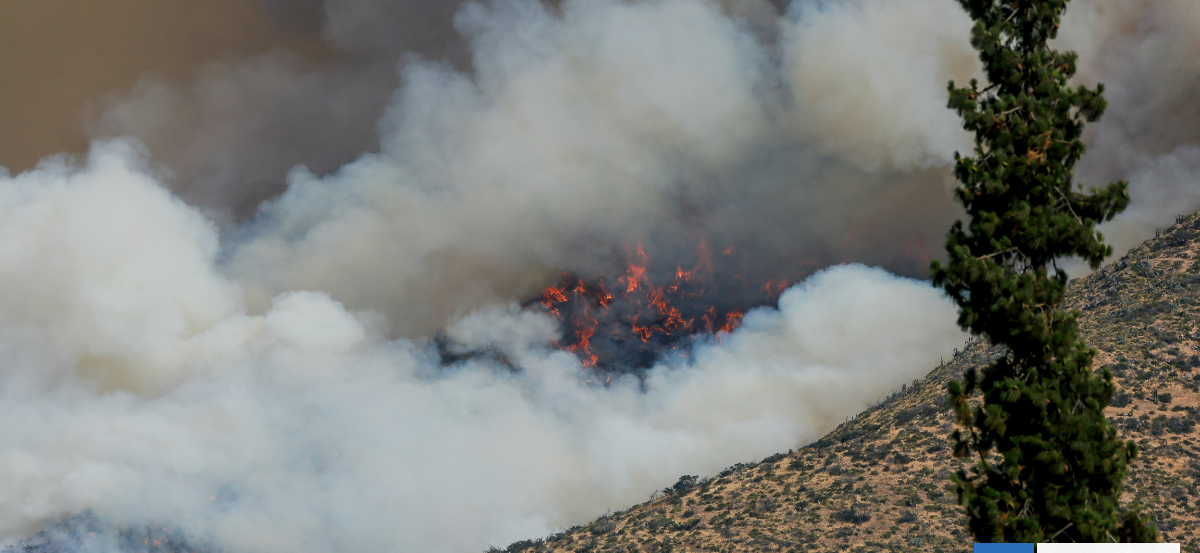 Los problemas de los otros sí nos conciernen: me preocupa el silencio de los buenos