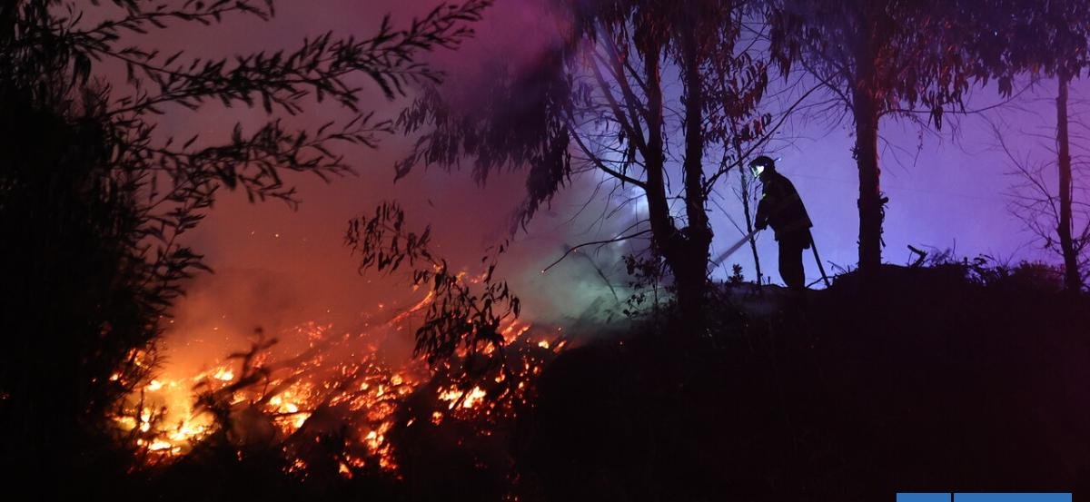 Ipsos: 72% cree que incendios fueron intencionales y valoran a influencers por sobre las instituciones