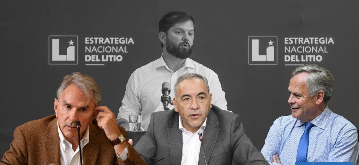 Senadores de Los Lagos hacen crítico balance del Gobierno de Boric: "No hay legado, hay daño"