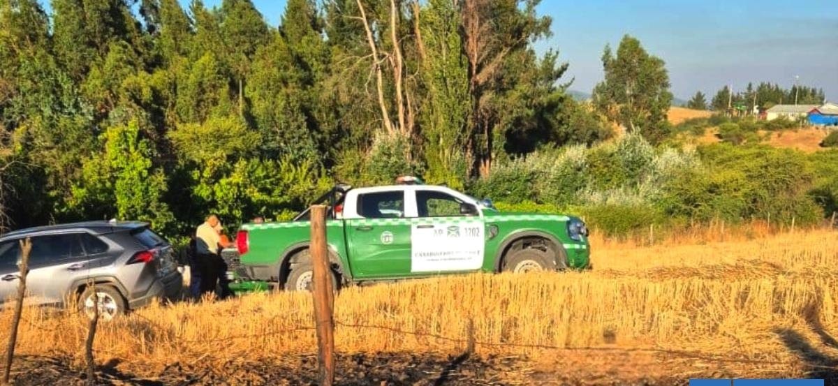 Carabineros confirma 3 detenidos acusados de comenzar incendios en Ninhue, El Carmen y Coelemu