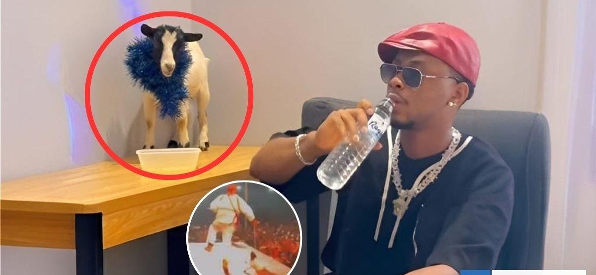 Video | Rapero nigeriano es acusado de maltrato animal tras arrastrar a un cabrito en pleno concierto