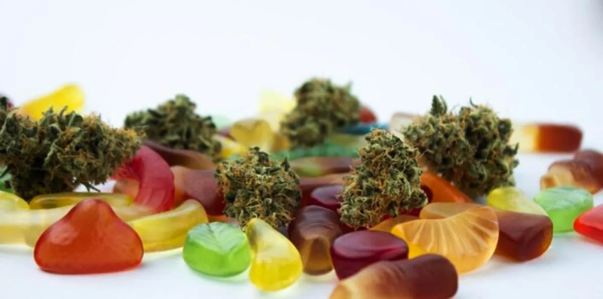Gomitas, chocolates y miel de marihuana: desmantelan red criminal que vendía cannabis “premium” por internet