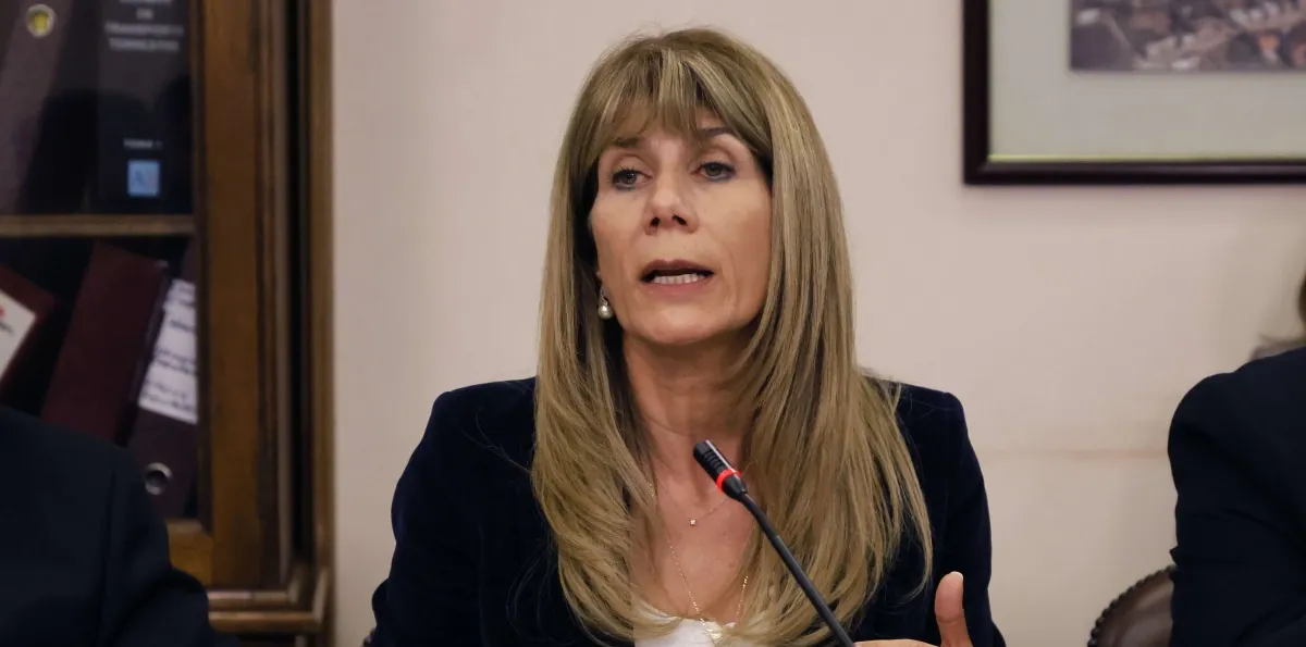 Ministra Rincón confirma decreto de racionamiento eléctrico para 'evitar cortes de luz'