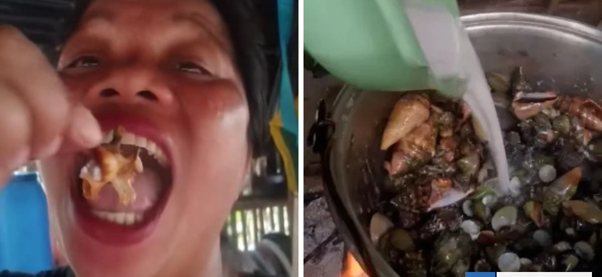 Influencer culinaria muere tras comer "Cangrejo Diablo" venenoso en Filipinas: grabó su preparación