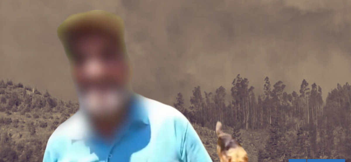 "El hombre de los perros": vinculan a sujeto con problemas de salud mental con megaincendio en Bío Bío