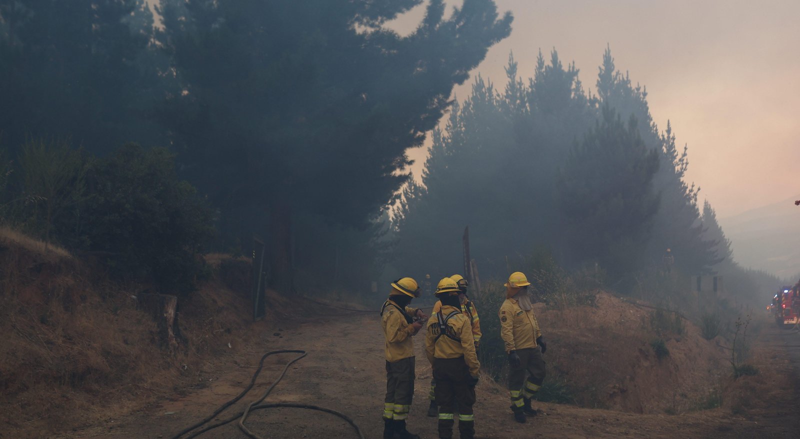 Senapred declara alerta roja y ordena evacuar sector de Lampa por incendio forestal que está cerca de viviendas