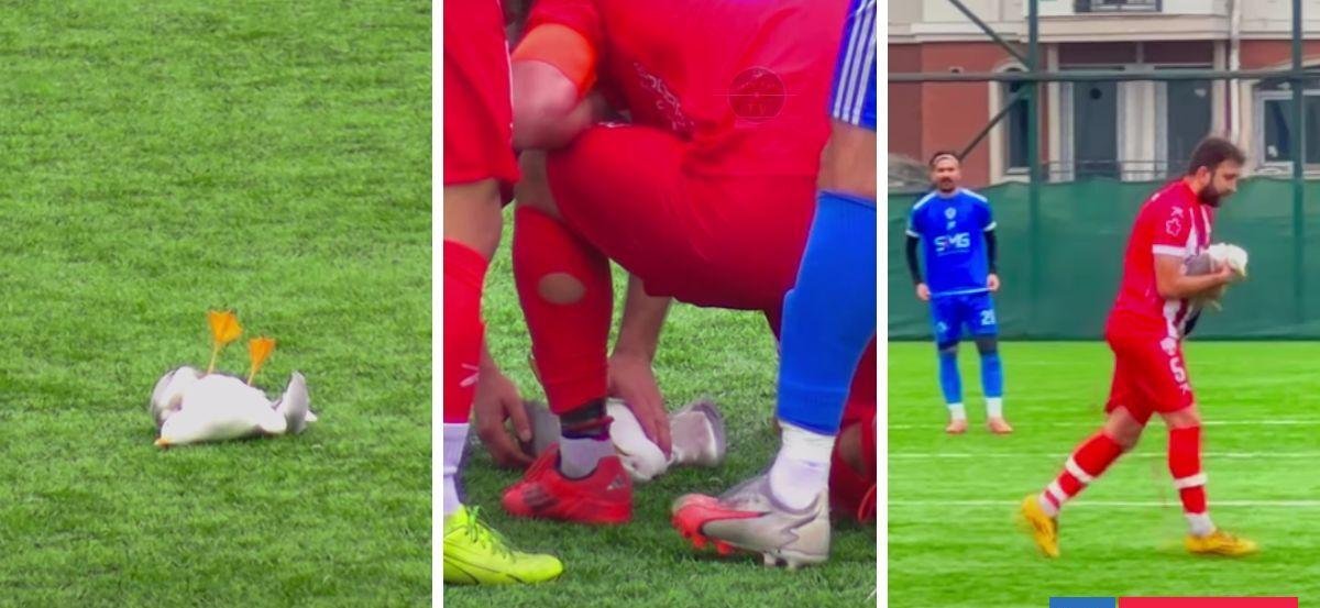 Gaviota cae inconsciente tras pelotazo y futbolista la reanima con RCP en medio de final en liga turca