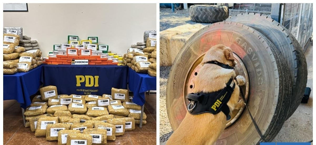 350 kilos de droga enviados desde Bolivia: seis detenidos por tráfico de sustancias en Melipilla