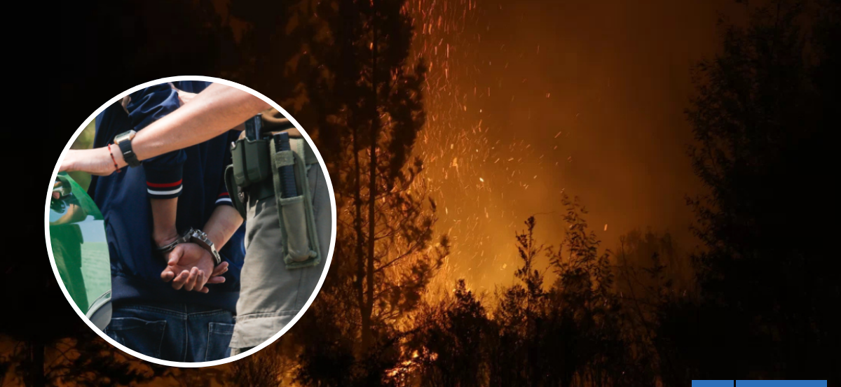 Bío Bío: más de 40 personas han sido detenidas por distintos delitos en zonas afectadas por incendios
