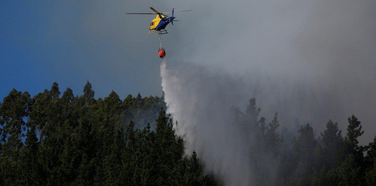 Incendio forestal mantiene a Limache y Concón bajo alerta roja bicomunal