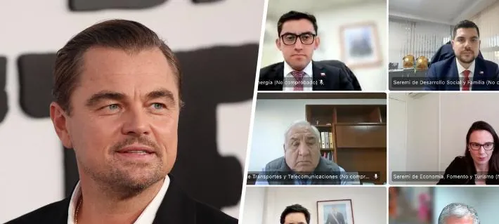 Comisión de Evaluación Ambiental del Maule rechaza proyecto eléctrico vinculado a alerta de DiCaprio