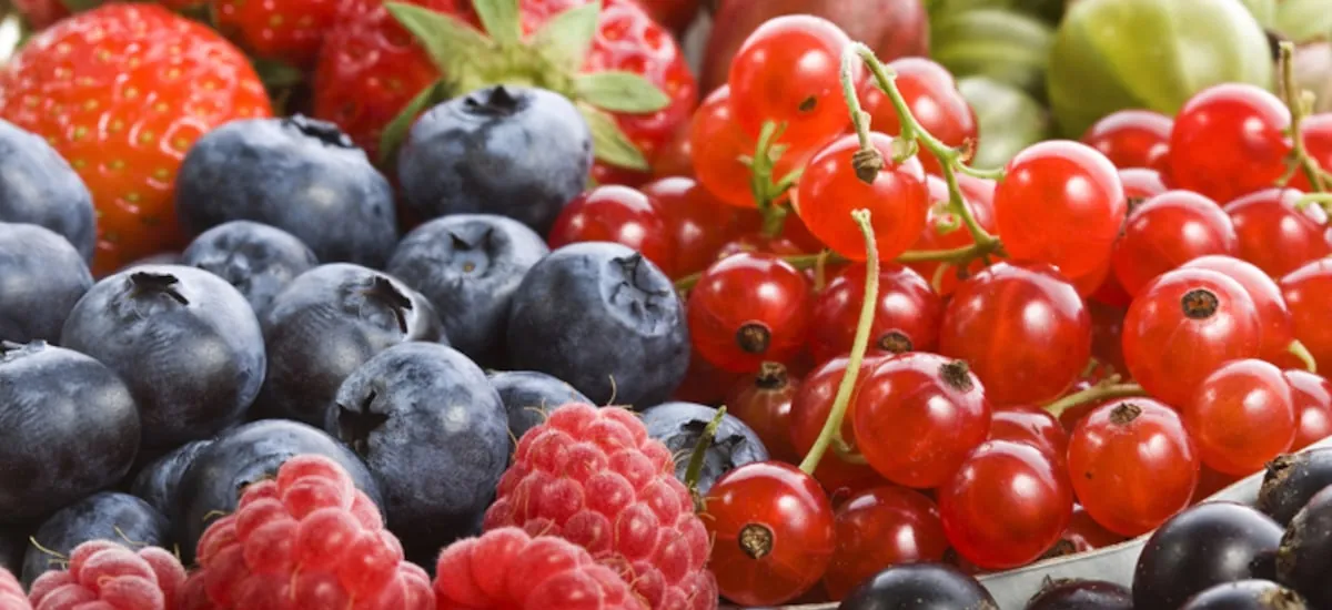 Exportaciones de alimentos anotan nuevo récord en el acumulado del año y Estados Unidos destaca como destino