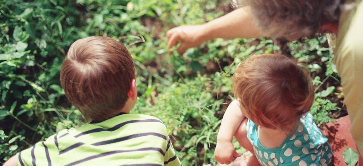 Ley que crea el Sistema Nacional de Cuidados es publicada en el Diario Oficial: en qué consiste y cuándo entra en vigencia