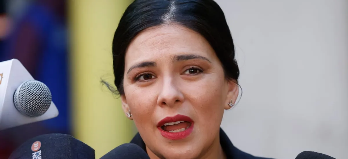Caso Chinamart: Cariola niega acusaciones y recalca que informe PDI no acredita tráfico de influencias - La Tercera