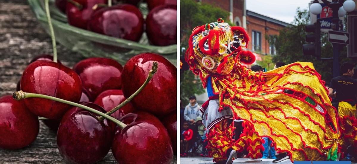 Otra mala temporada para la cereza chilena: embarques llegaron antes de tiempo para el Año Nuevo Chino