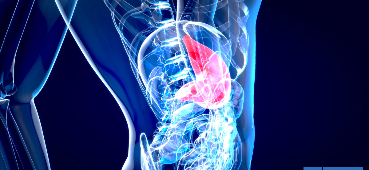 Revelan que el sistema nervioso desempeña un papel activo en el desarrollo del cáncer de páncreas