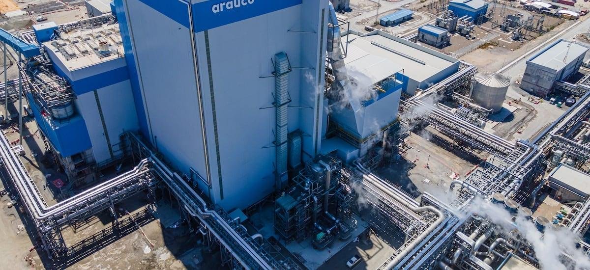 Arauco cerró 2025 con fuerte caída en sus ganancias ante menores precios de la celulosa - La Tercera